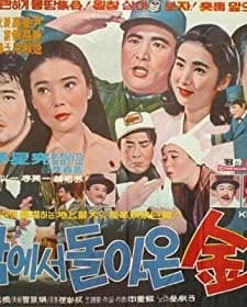 Wolnameso Doraeun Kimsangsa (1971) afişi