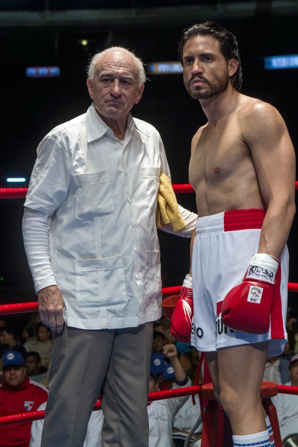 Demir Yumruk Fotoğrafı