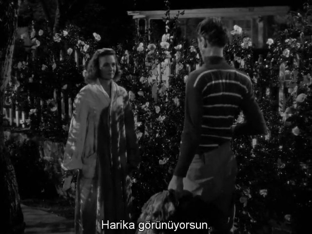 Şahane Hayat Fotoğrafı