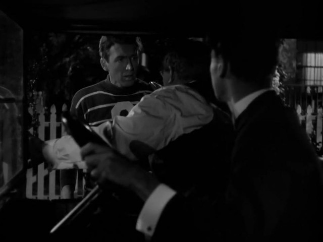 Şahane Hayat Fotoğrafı