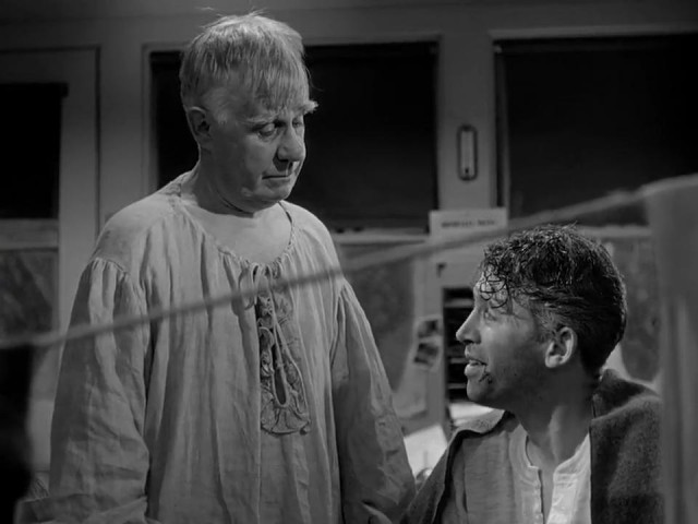 Şahane Hayat Fotoğrafı