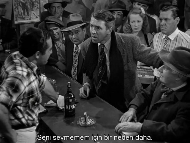 Şahane Hayat Fotoğrafı