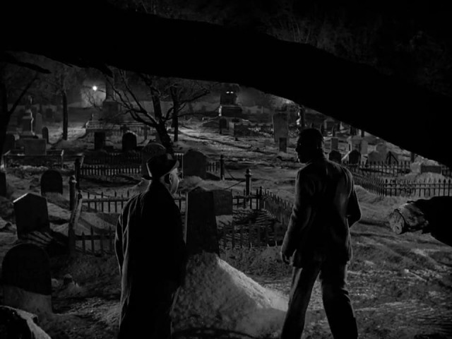 Şahane Hayat Fotoğrafı