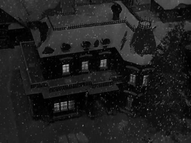 Şahane Hayat Fotoğrafı