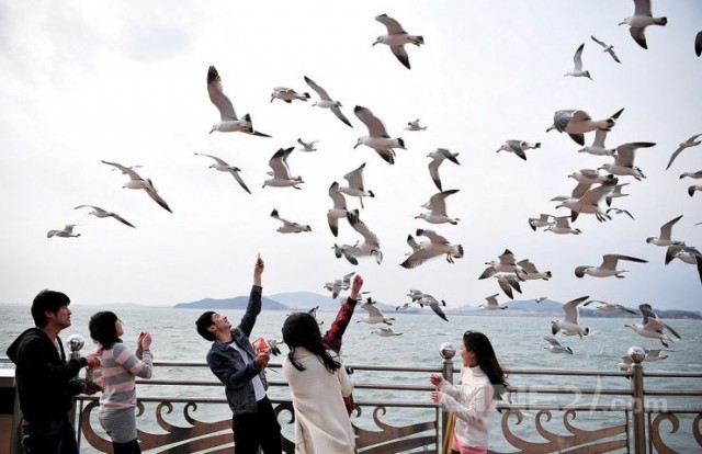 Bleak Night fotoğrafı