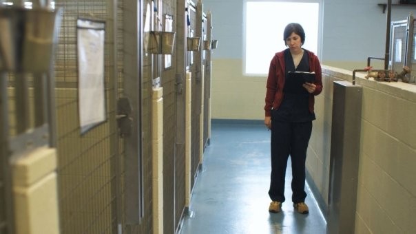 Some Days Are Better Than Others fotoğrafı