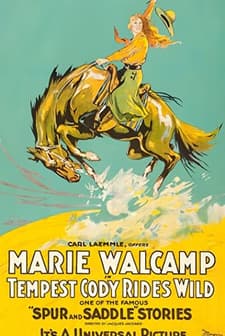 Tempest Cody Rides Wild (1919) afişi