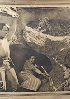 The Wild Rider (1919) afişi