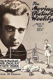 Mr. Dolan Of New York (1917) afişi