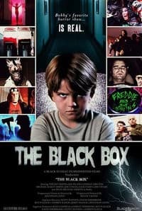 Kara Kutu (2010) afişi