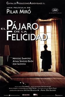 El Pájaro De La Felicidad (1993) afişi