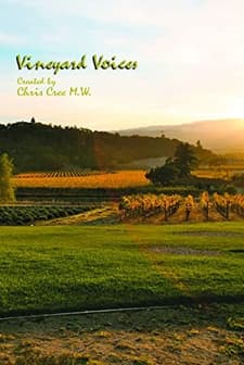 Vineyard Voices (2007) afişi