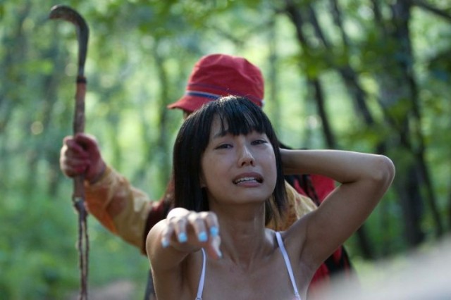 Norwegian Woods fotoğrafı