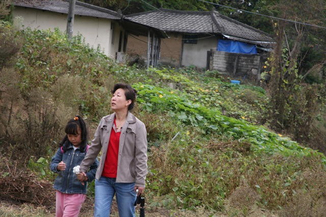 Resilience(ı) fotoğrafı