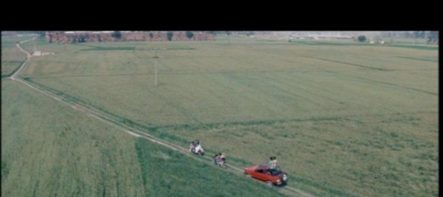 Onu Sarıya Boya Fotoğrafı