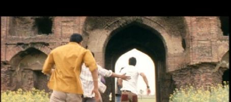 Onu Sarıya Boya Fotoğrafı