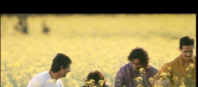 Onu Sarıya Boya Fotoğrafı