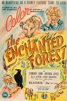 The Enchanted Forest (1945) afişi