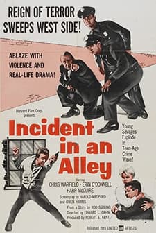 ıncident In An Alley (1962) afişi