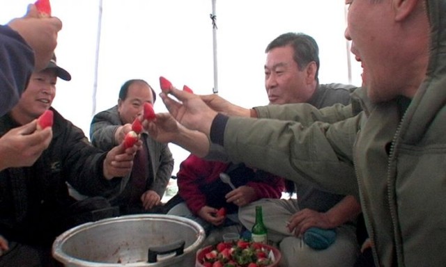 The Farmer's Song Fotoğrafı