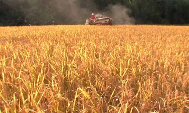 The Farmer's Song fotoğrafı