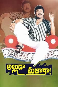 Alluda Mazaaka...! (1995) afişi