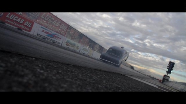 Yarışçı Doğanlar Fotoğrafı