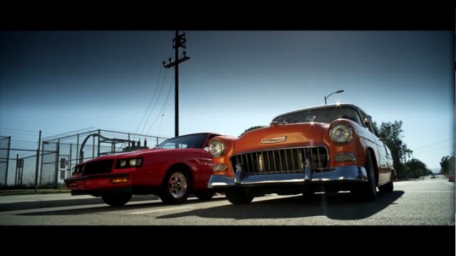 Yarışçı Doğanlar Fotoğrafı