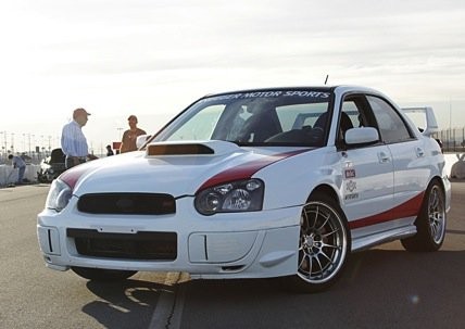 Yarışçı Doğanlar fotoğrafı