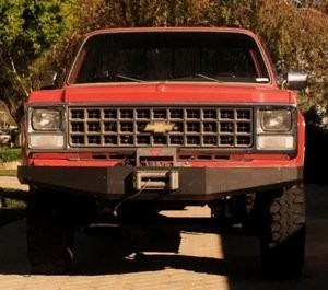 Yarışçı Doğanlar fotoğrafı