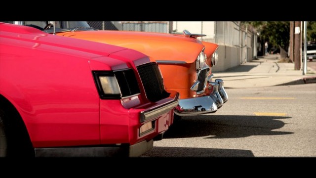 Yarışçı Doğanlar Fotoğrafı