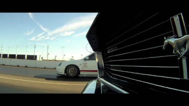 Yarışçı Doğanlar Fotoğrafı