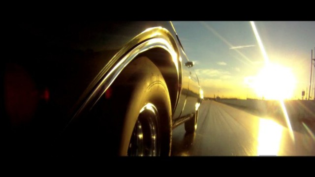 Yarışçı Doğanlar Fotoğrafı