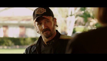 Yarışçı Doğanlar Fotoğrafı