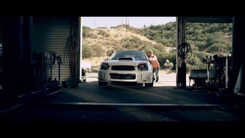 Yarışçı Doğanlar Fotoğrafı