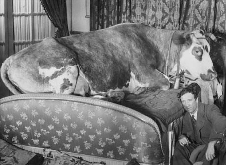 Altın Çağ fotoğrafı