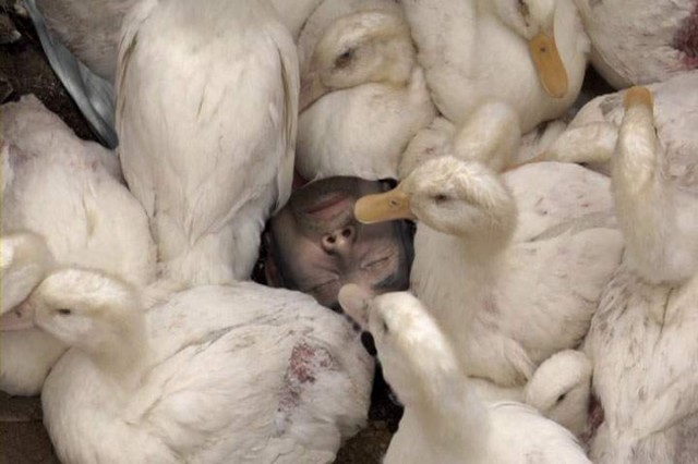 Sleeping Beauty Fotoğrafı