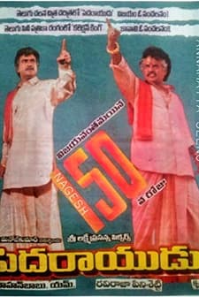 Peda Rayudu (1995) afişi