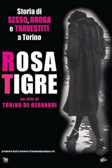 Rosatigre (2000) afişi