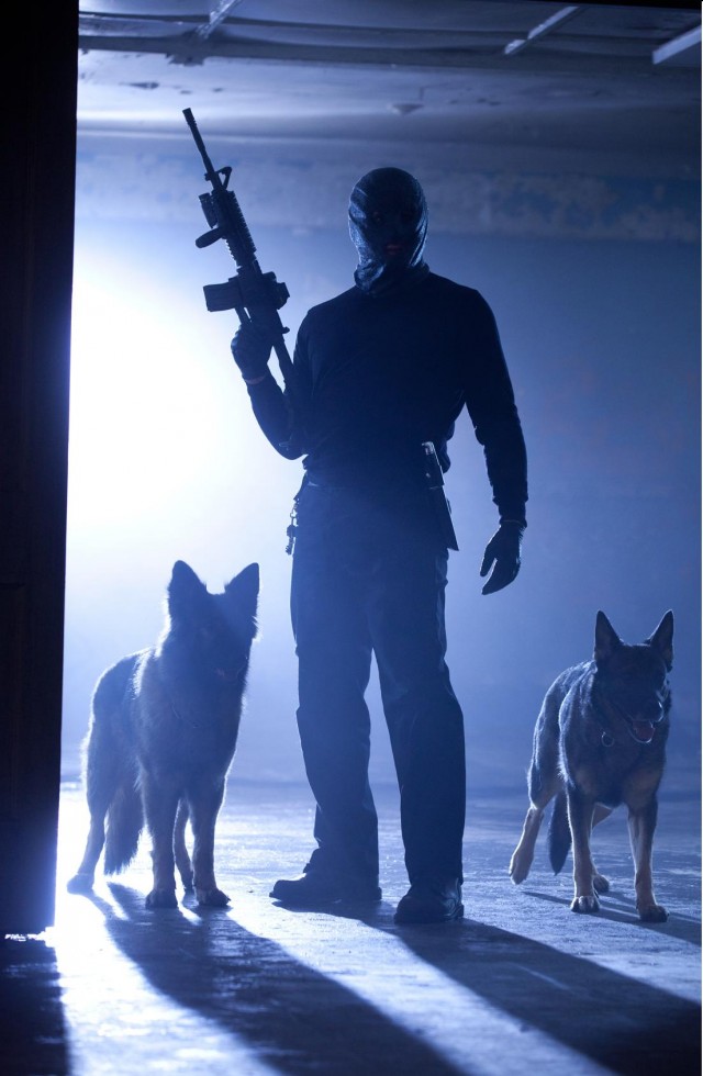 Koleksiyoncu 2 Fotoğrafı