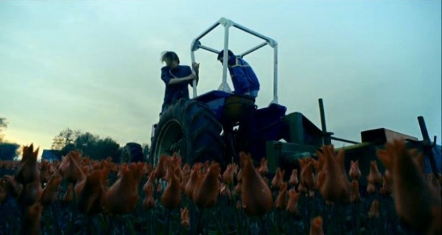 Shocking Blue Fotoğrafı