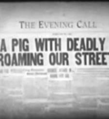 Sailor Beware (1927) afişi