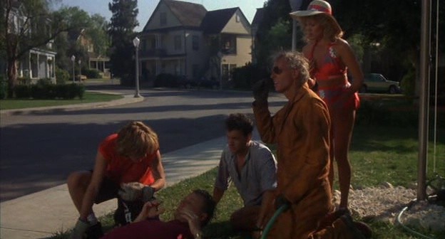 Meraklı Komşular Fotoğrafı