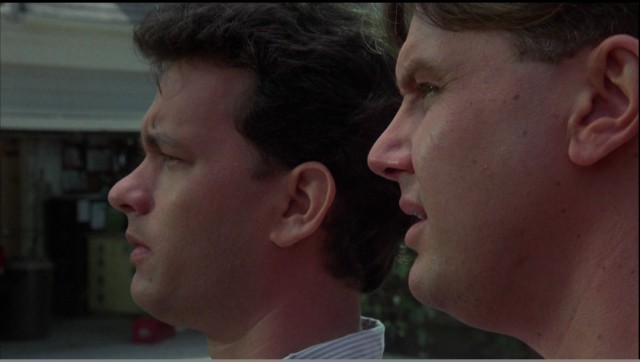 Meraklı Komşular fotoğrafı