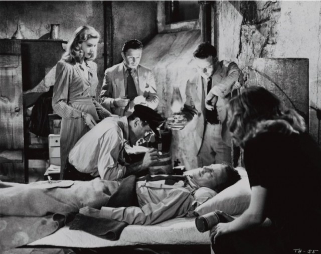 Sahip Olmak Ya Da Olmamak fotoğrafı