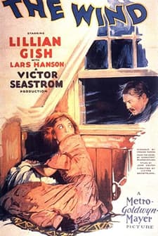 The Wind (1928) afişi