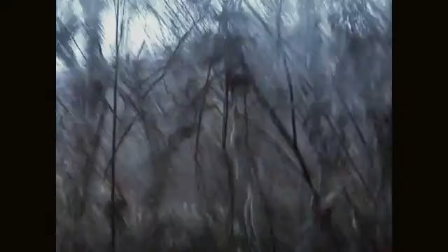 Karadedeler Olayı Fotoğrafı