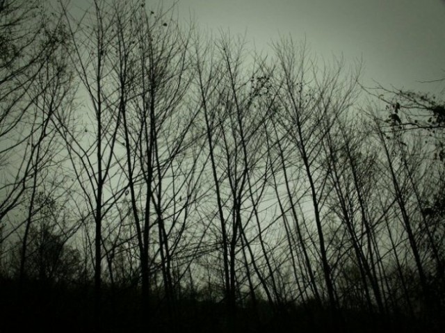 Karadedeler Olayı fotoğrafı