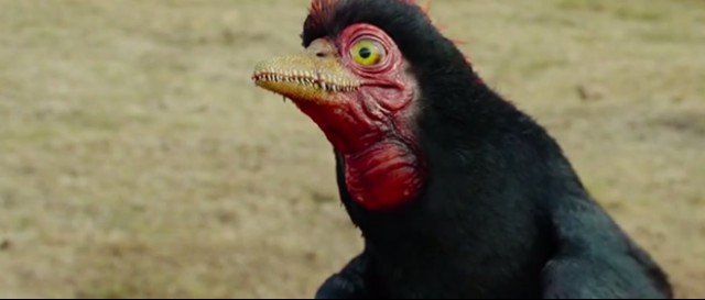 Dinozorlarla Yürümek Fotoğrafı