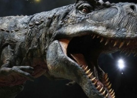 Dinozorlarla Yürümek Fotoğrafı